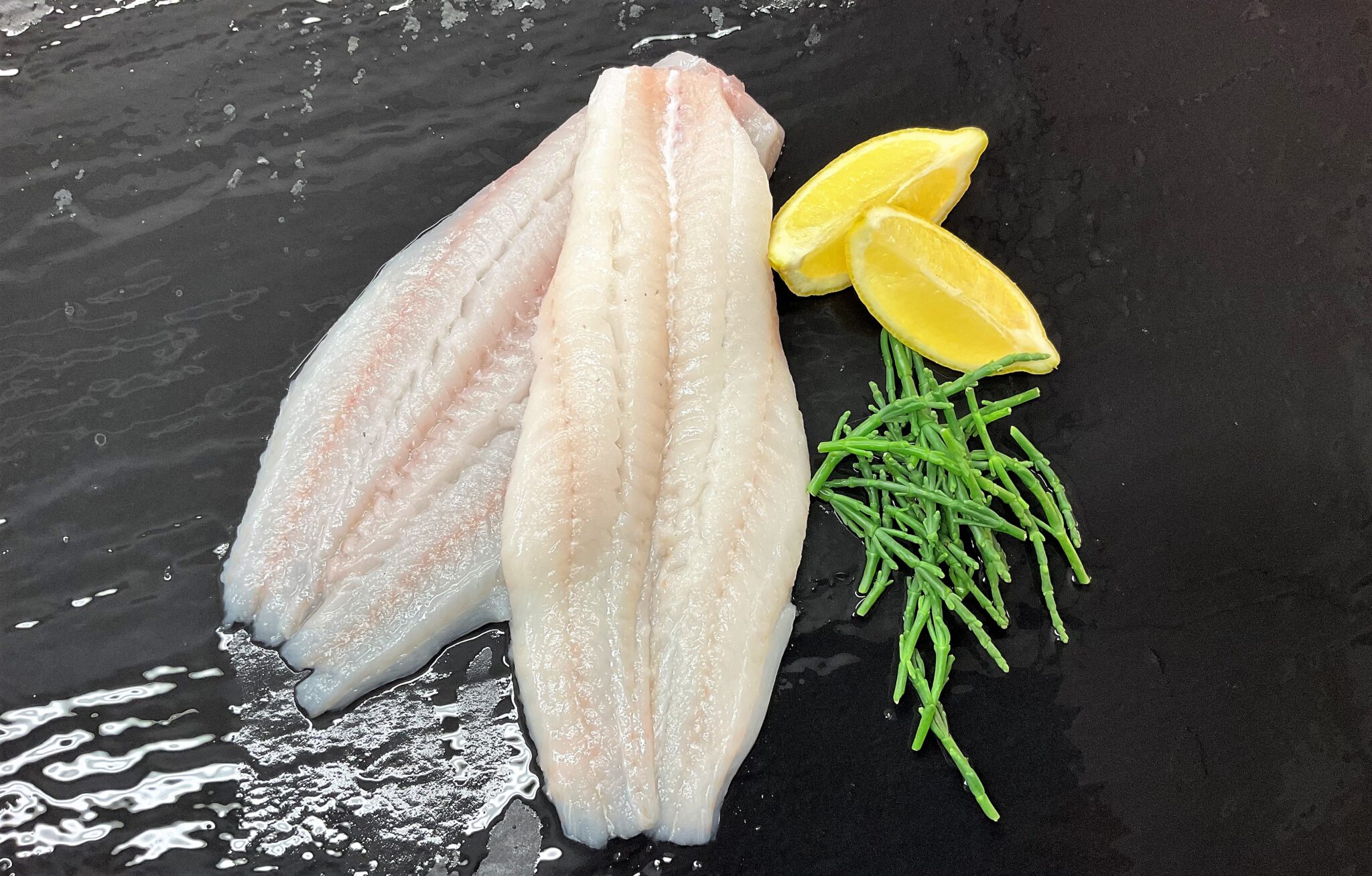 Haddock Fillets D.R Collin Fish