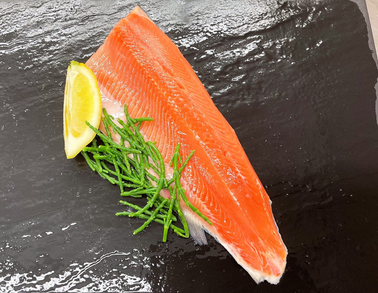 D.R Collin Fish Online Fishmonger, UK Delivery, Live Shellfish