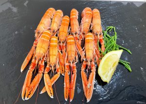 Cooked Langoustines