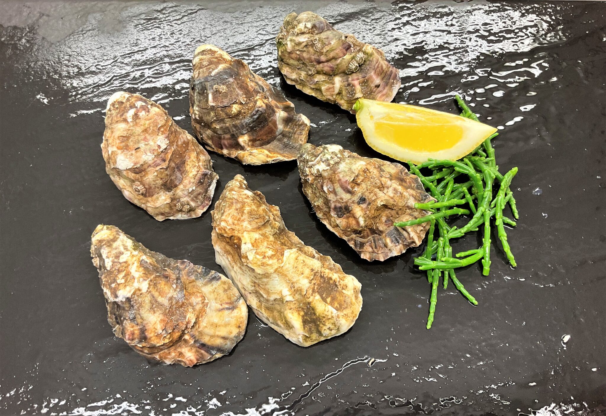 D.R Collin Fish Online Fishmonger, UK Delivery, Live Shellfish