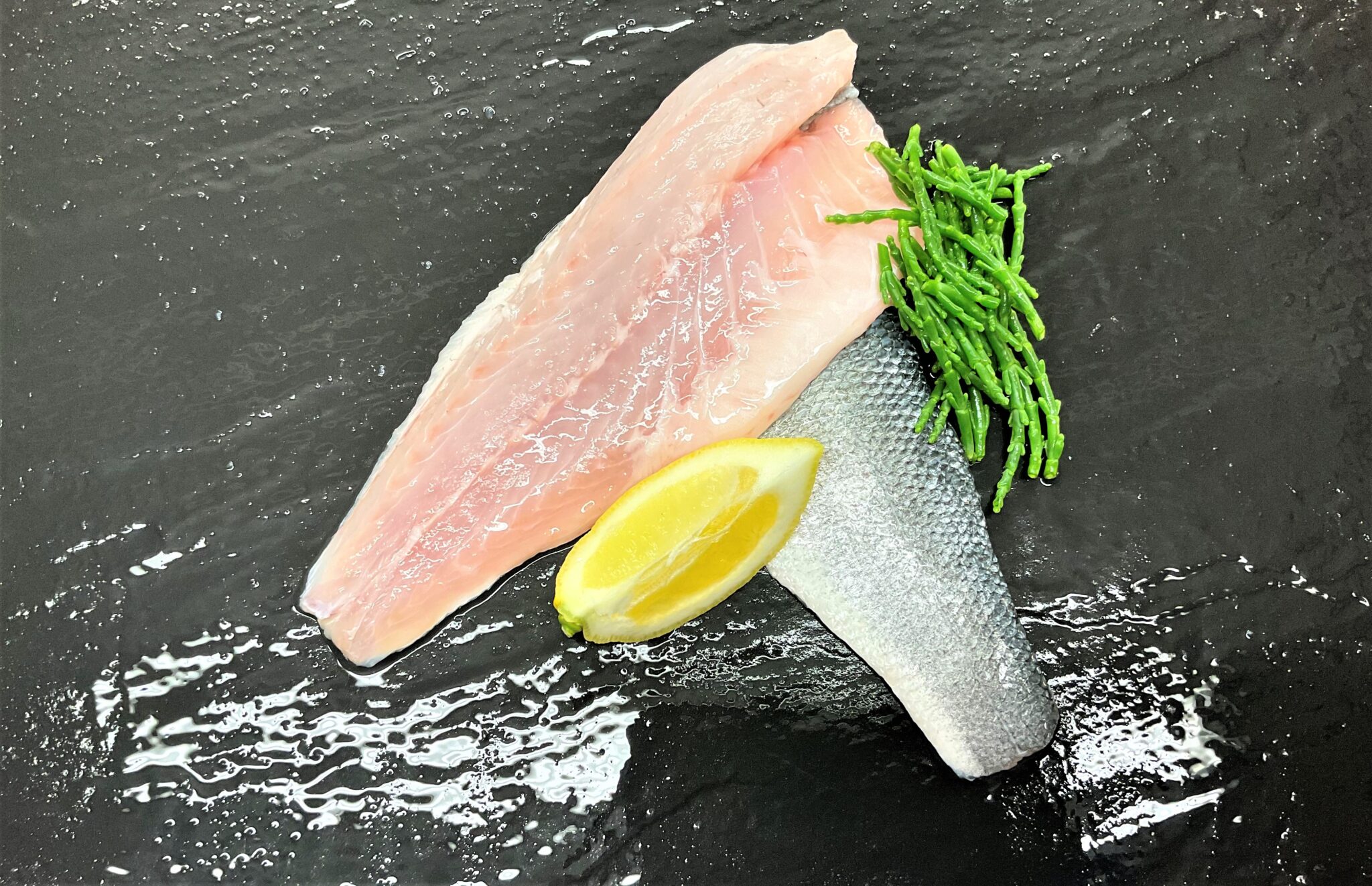 D.R Collin Fish Online Fishmonger, UK Delivery, Live Shellfish