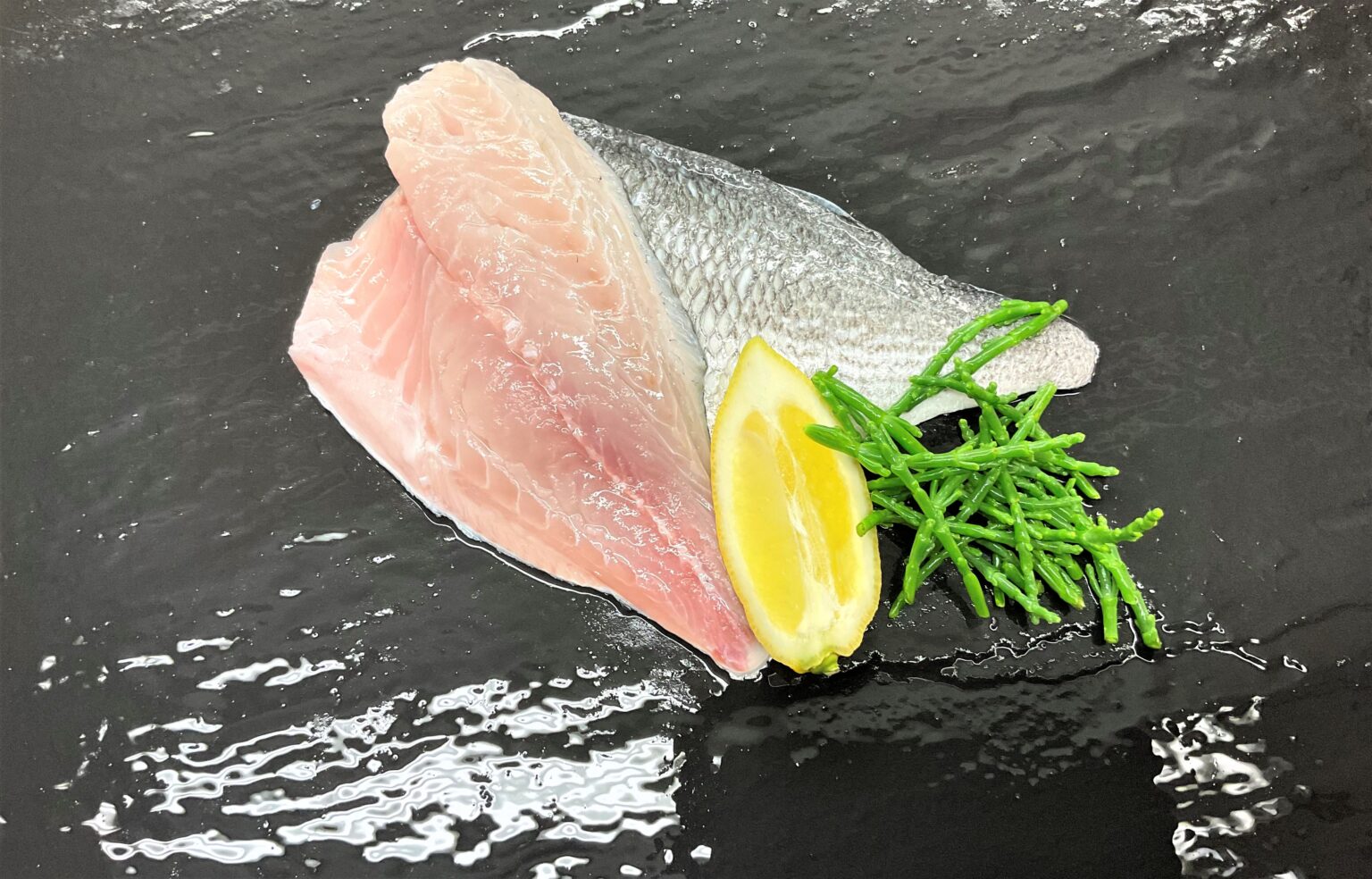 Shop Fresh Archives - D.R Collin Fish