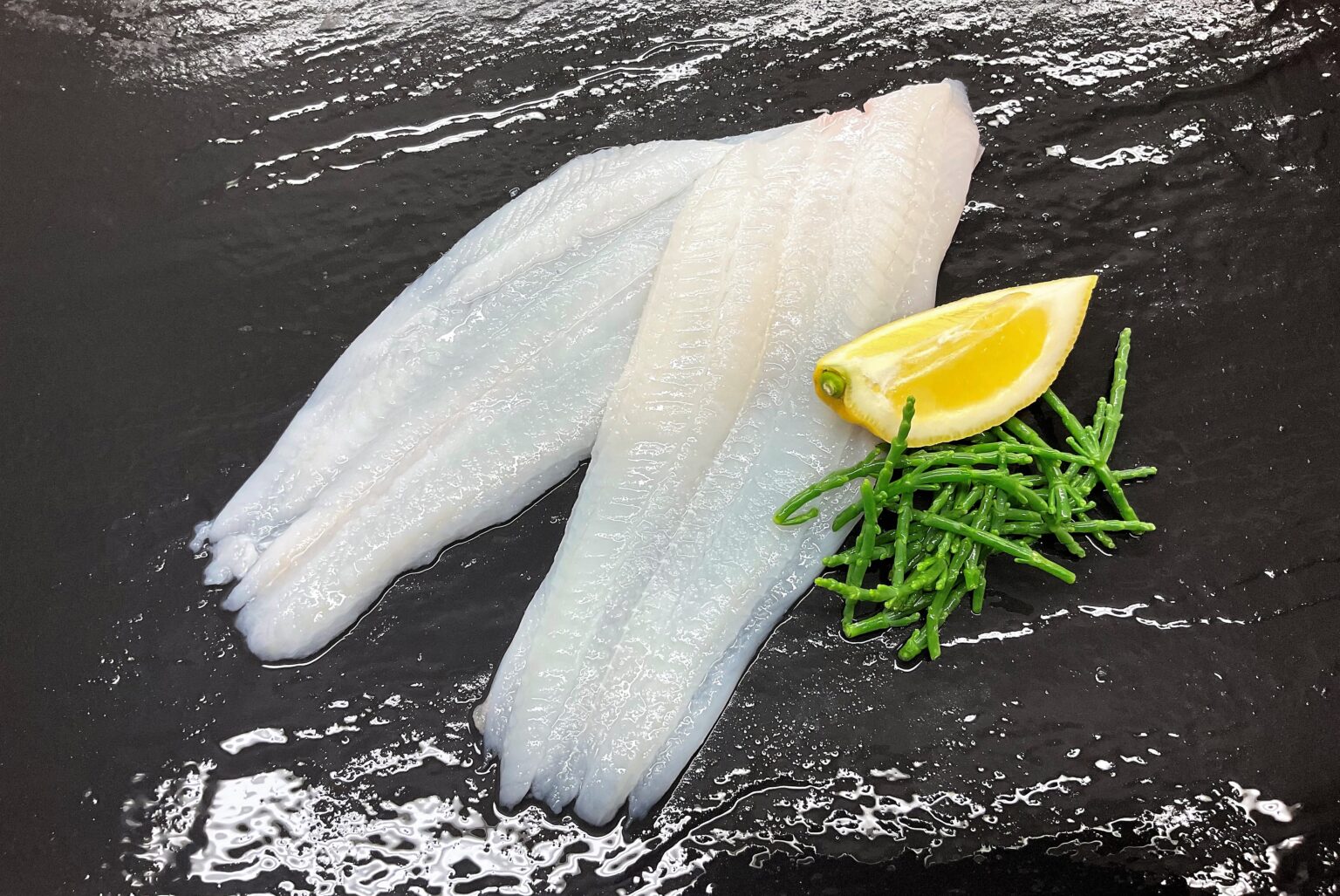 Shop Fresh Archives - D.R Collin Fish