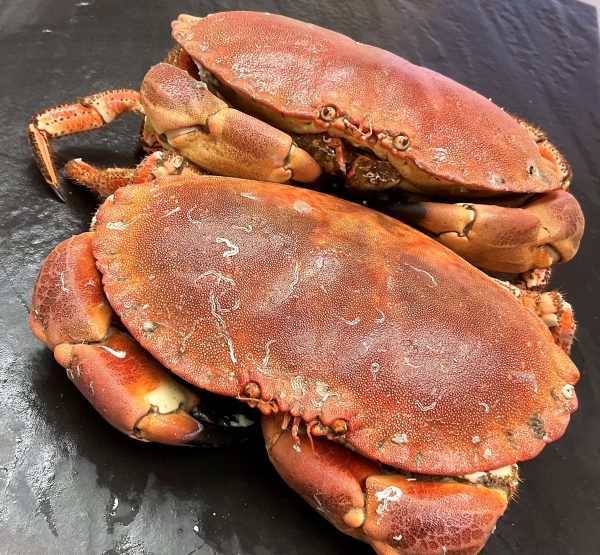 cooked whole crab