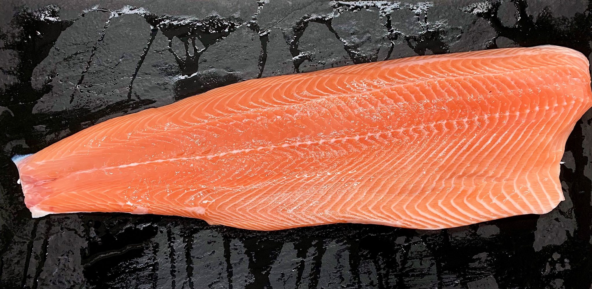 Whole Salmon Side - D.R Collin Fish