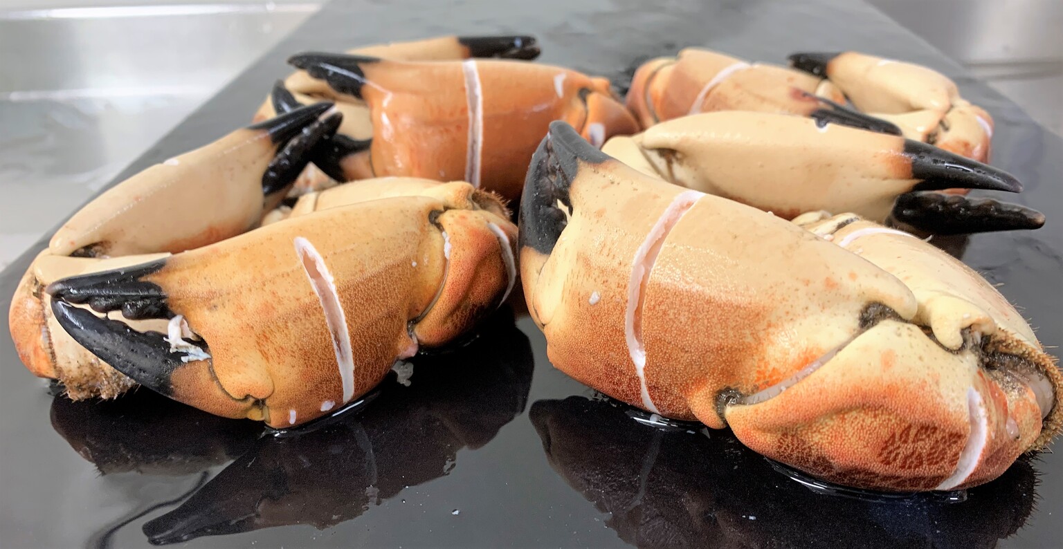 Frozen Snap & Eat Crab Claws D.R Collin Fish