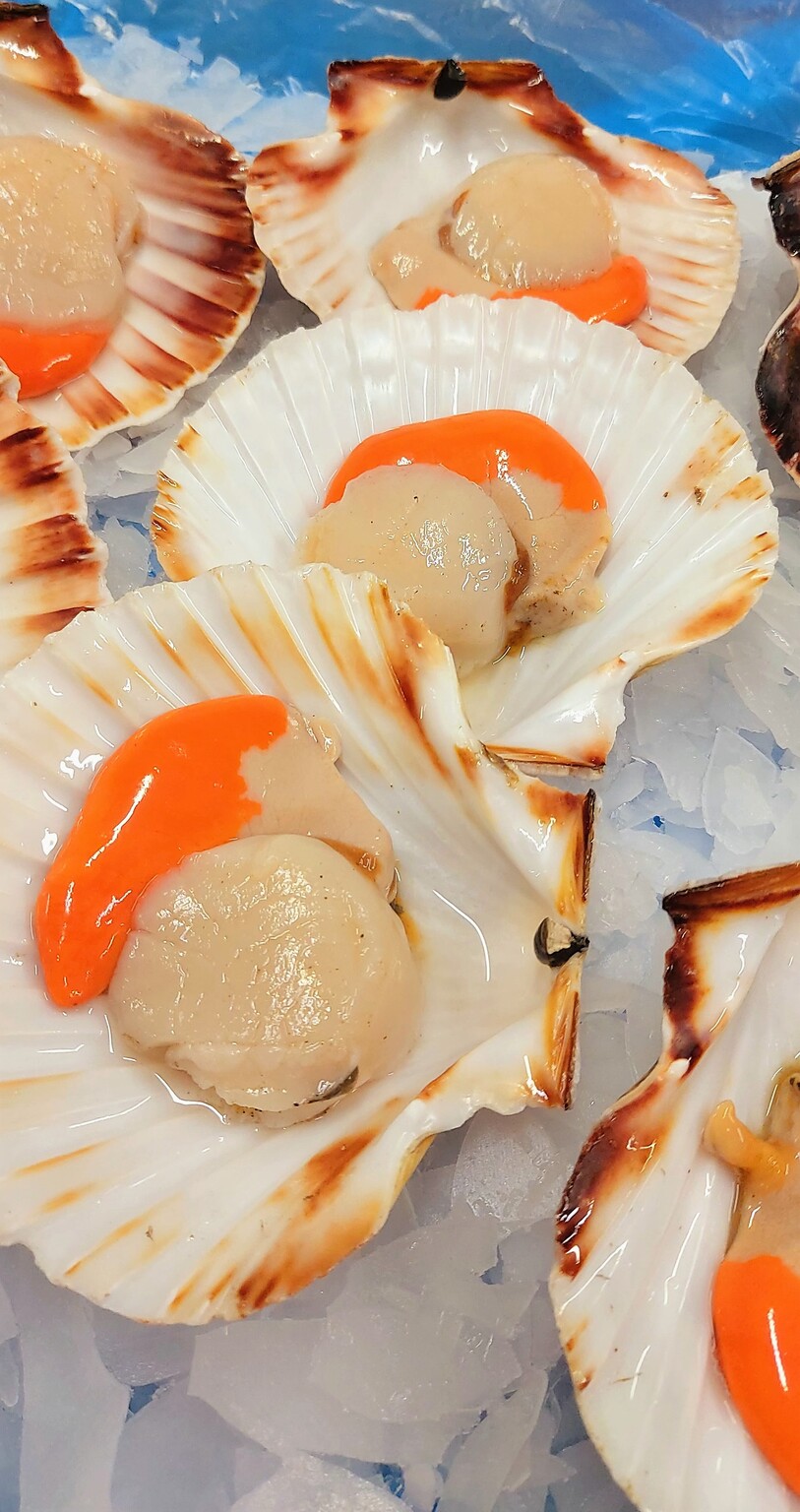 Frozen Half Shell Scallops D.R Collin Fish