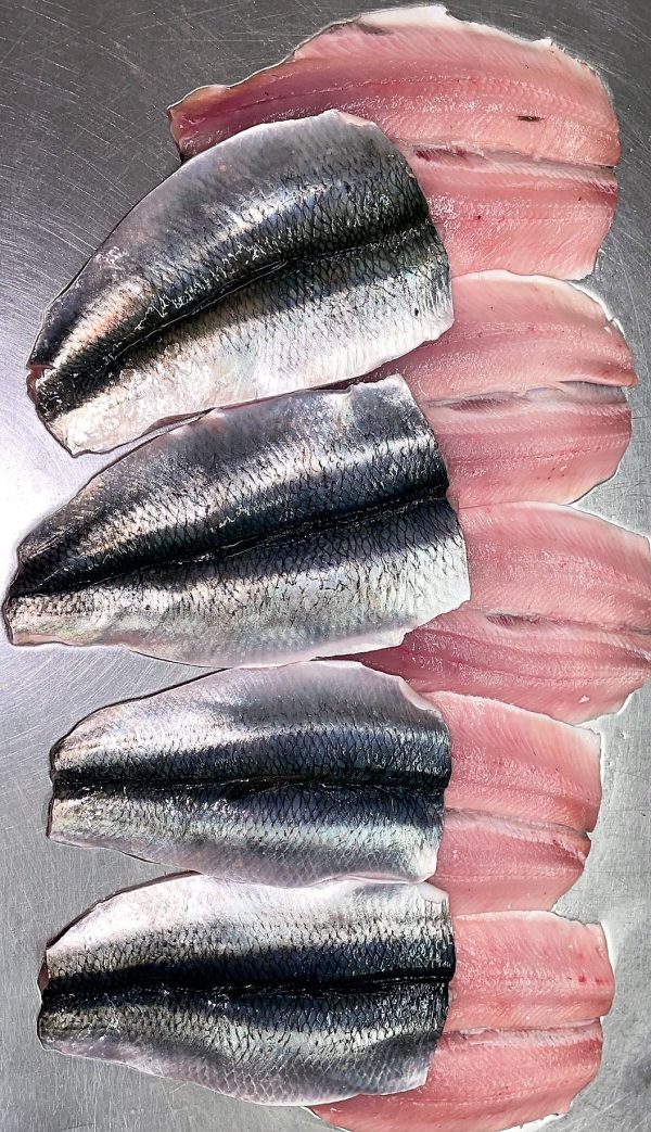 Fresh herring fillets