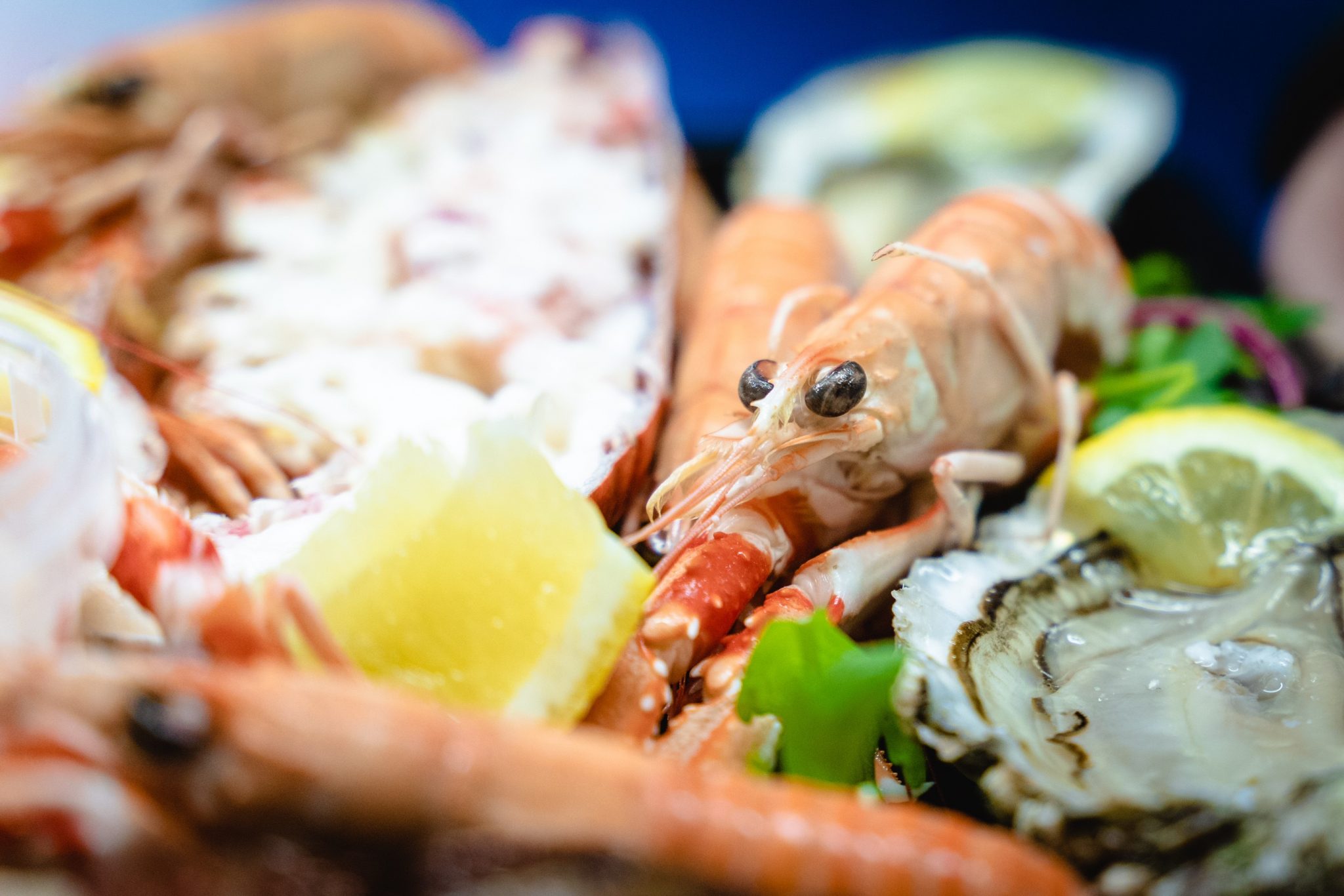 Platter for two - D.R Collin Fish